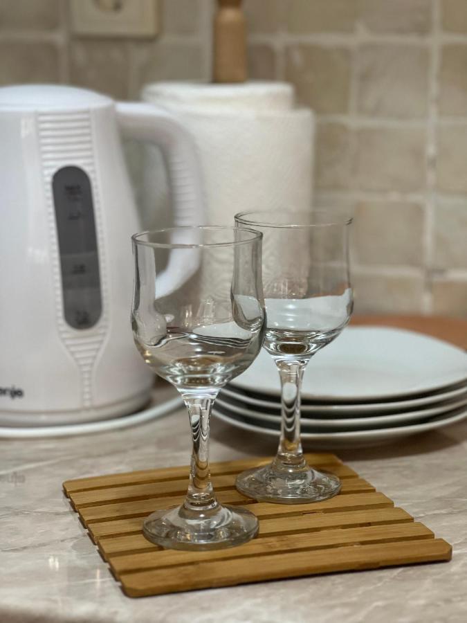 Apartment Dostojevski Novi Sad Bagian luar foto