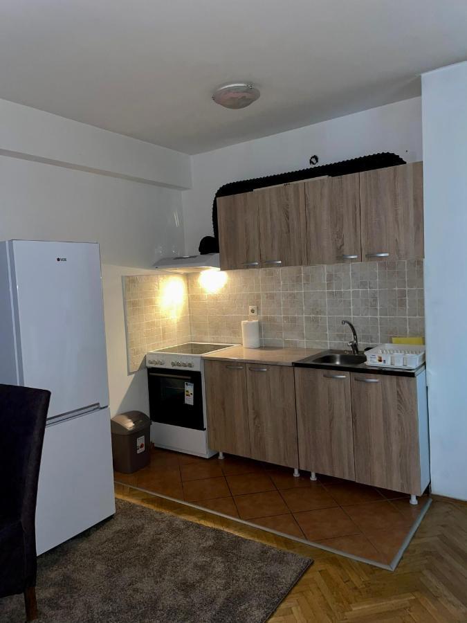 Apartment Dostojevski Novi Sad Bagian luar foto